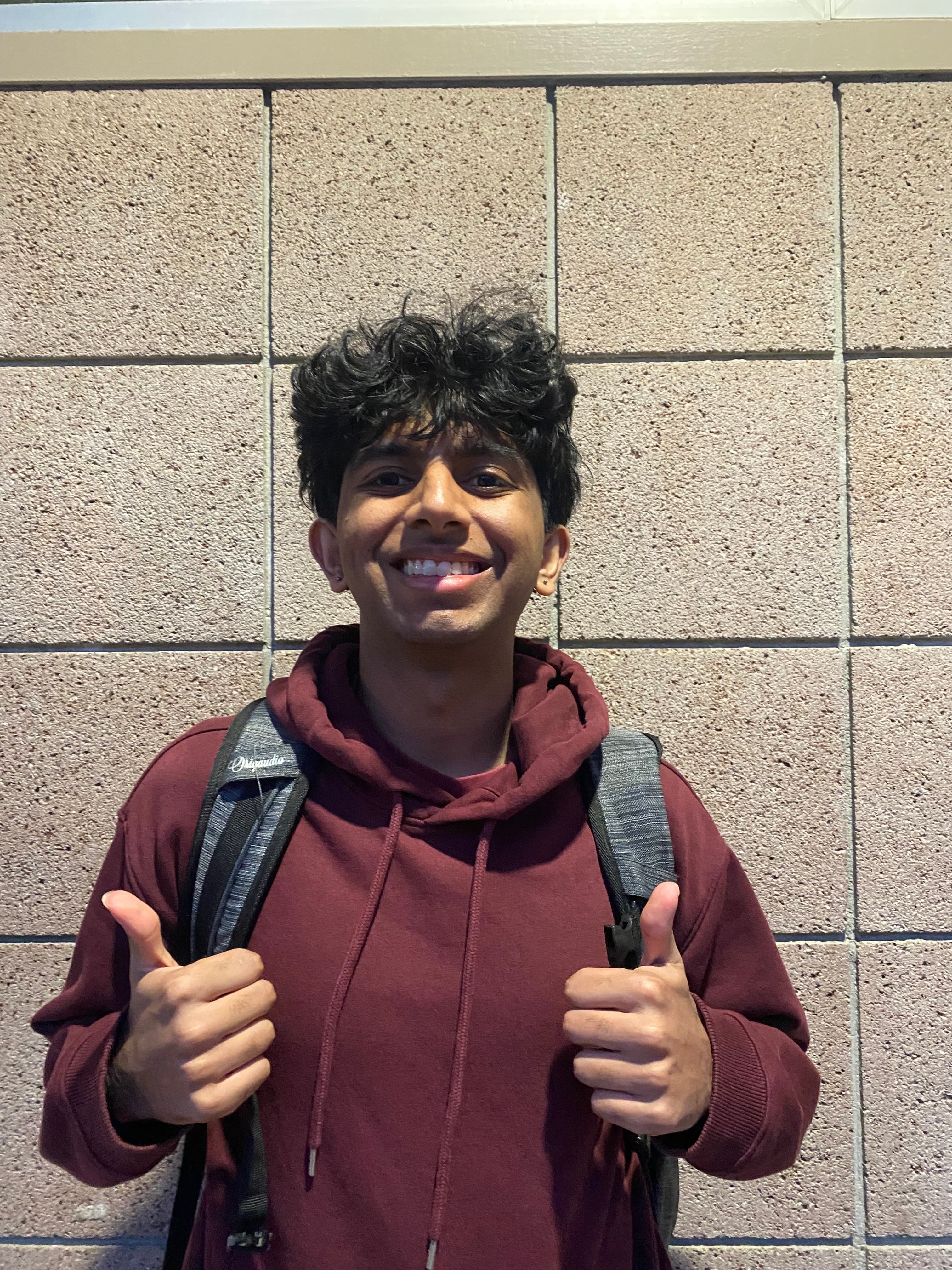 Aryan Vashishta picture